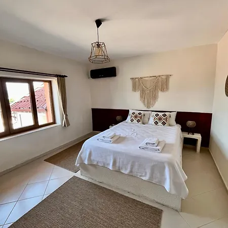 Mek Homes Historical Greek House And Sea View Apartment *